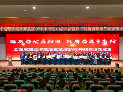 恒業電子獲2022年度“銷售進階獎”、“納稅進步獎”稱號